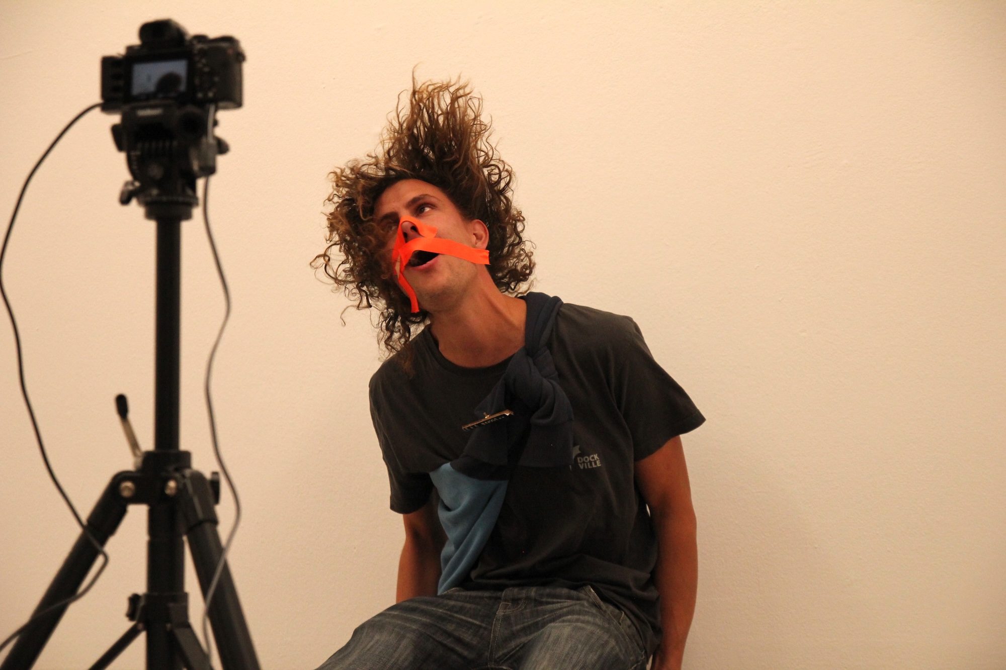 Don't Compress Me Head Only, 2015