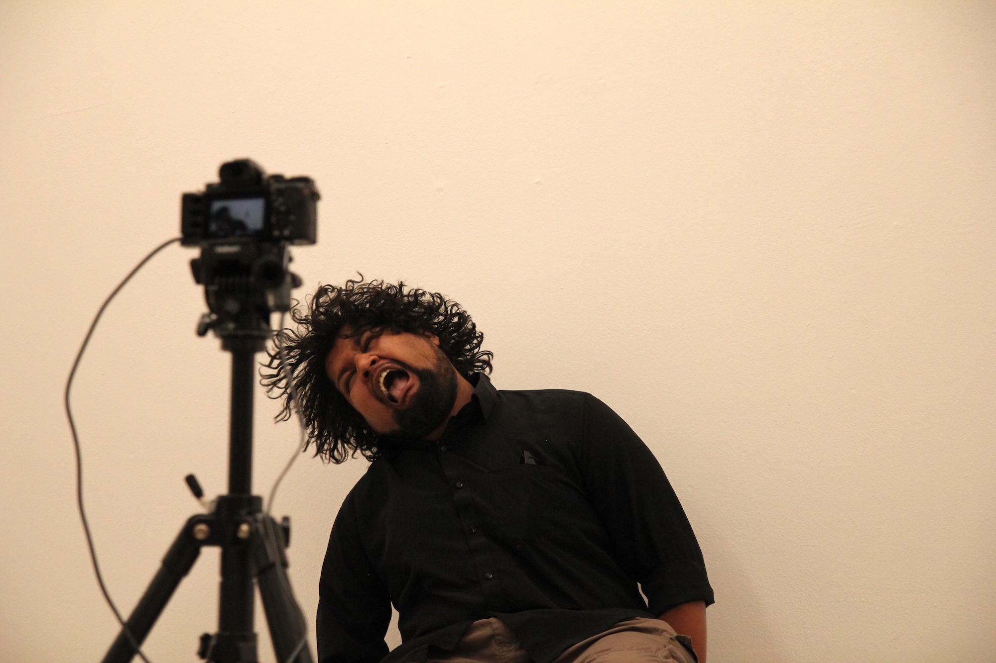 Don't Compress Me Head Only, 2015