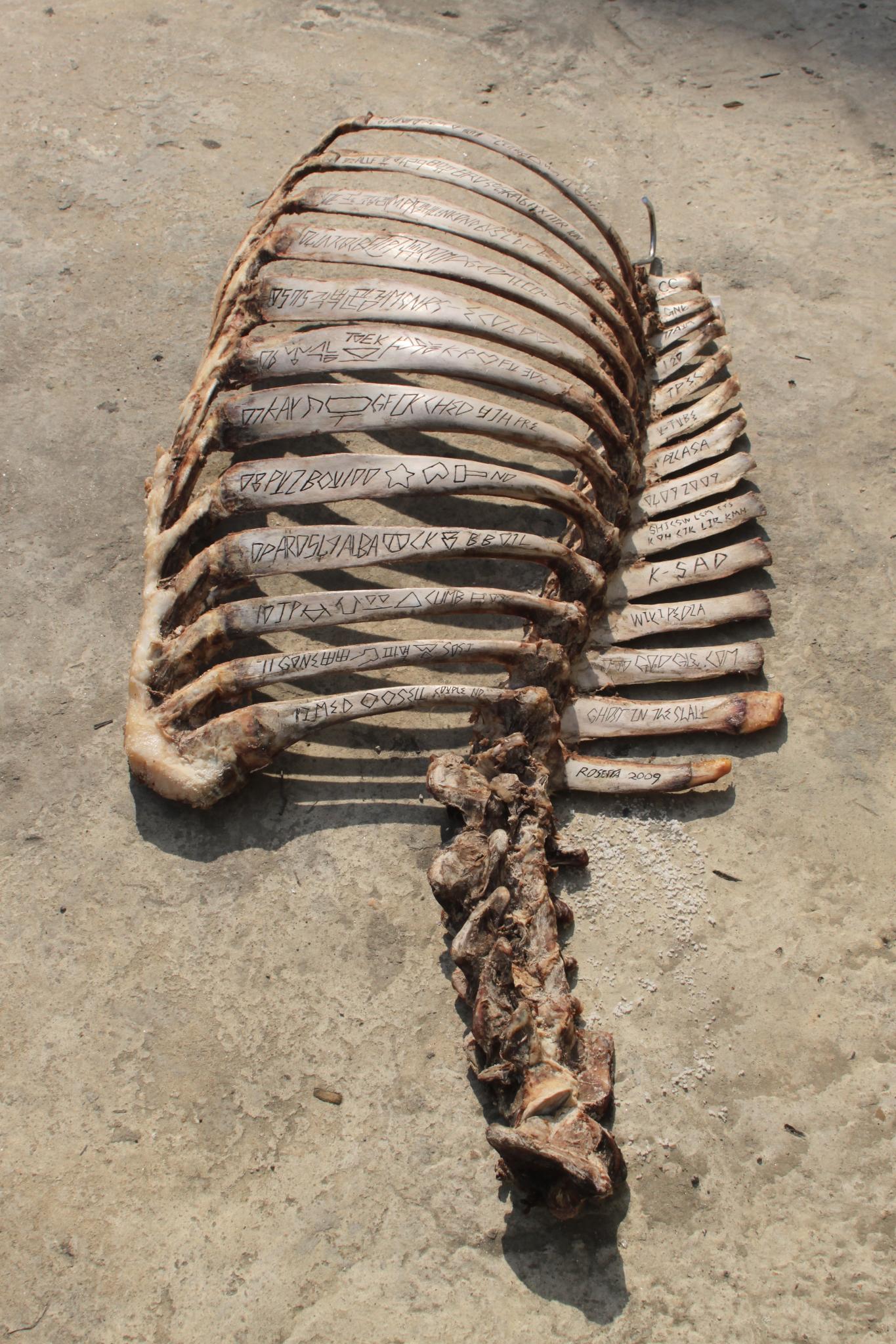 Strongest Weapon - Rosetta Stone Workshop, 2009