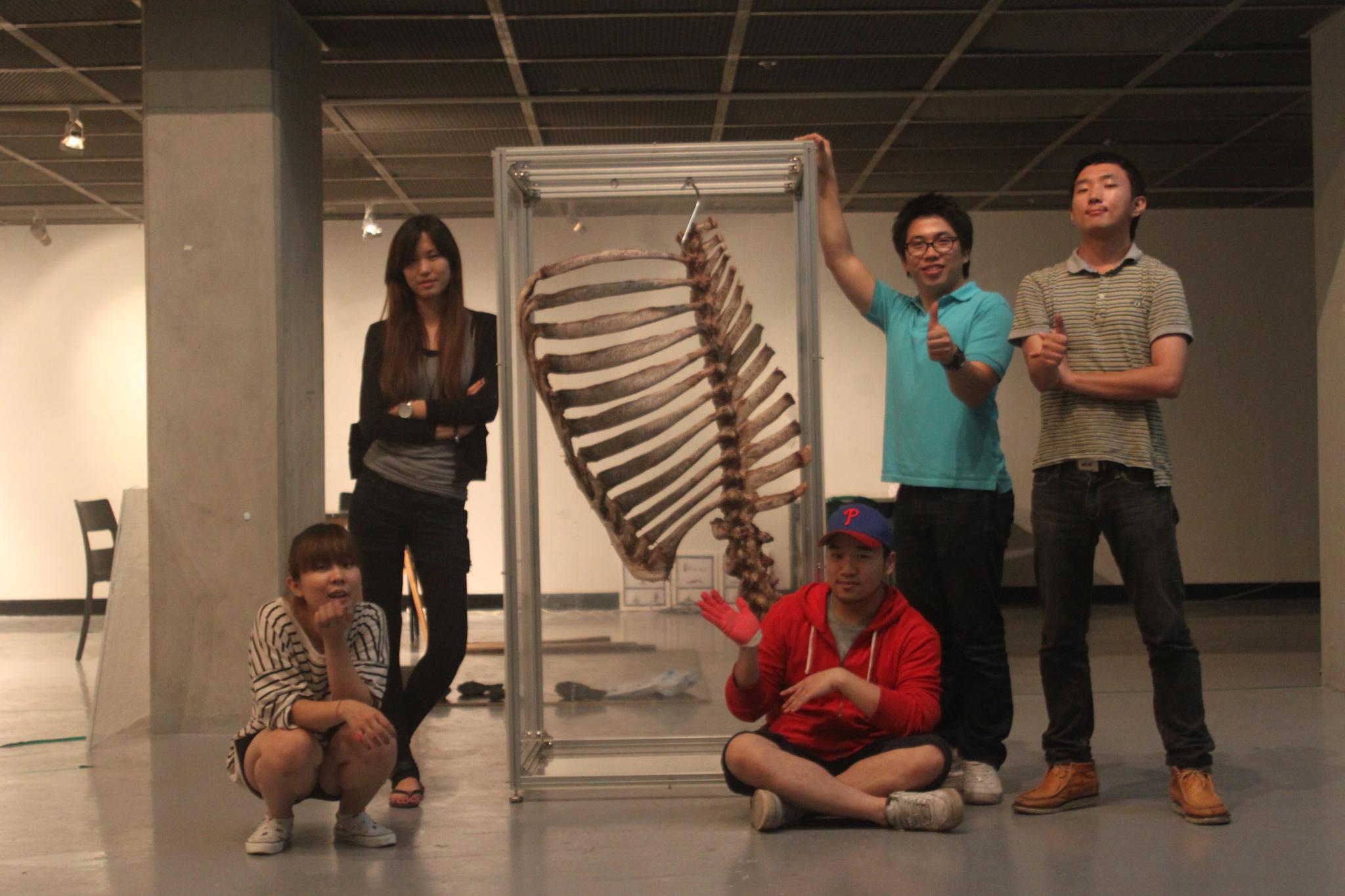 Rosetta Stone 2009, 2009